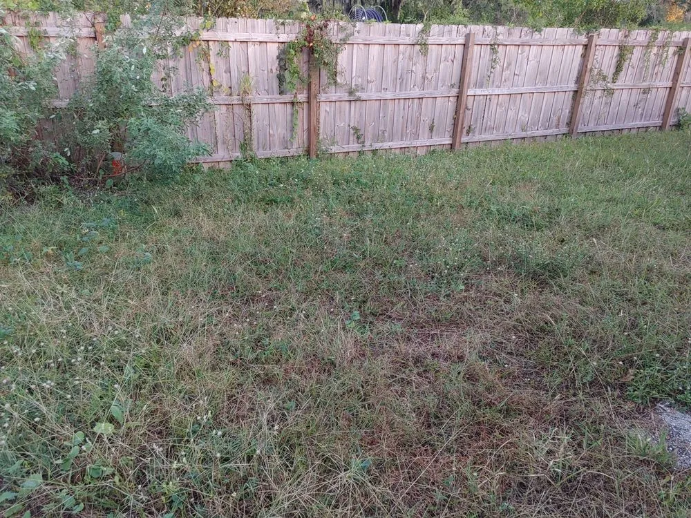 Expert yard cleanup service for homes across St Petersburg, FL - IB At Ur Lawn Care