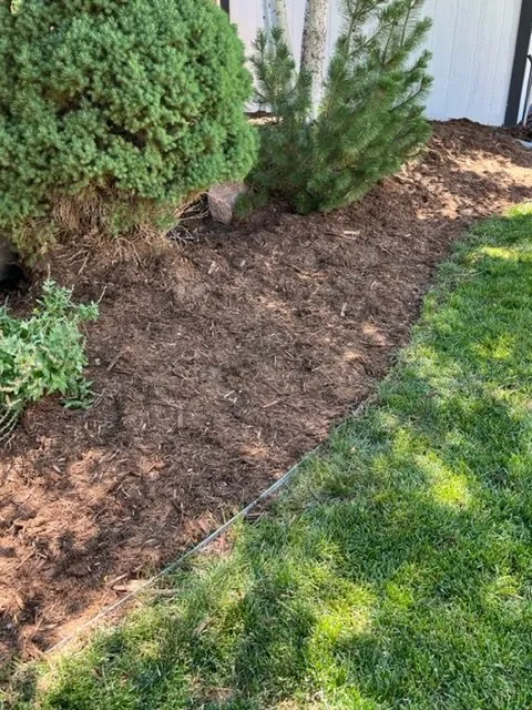 Custom landscaping services for beautiful yards in Kersey, CO by Ibarra Land Management