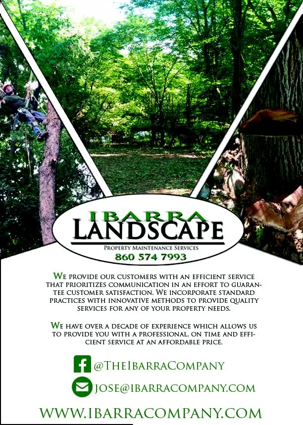 Reliable lawn care service with custom design in East Lyme, CT by Ibarra Landscape & Construction