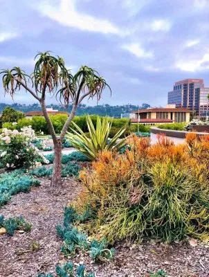 Reliable residential landscaping in San Juan Capistrano, CA by Ibarra Maintenance