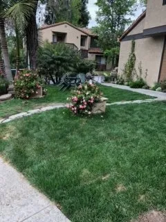 Reliable landscape installation in San Juan Capistrano, CA - Ibarra Maintenance