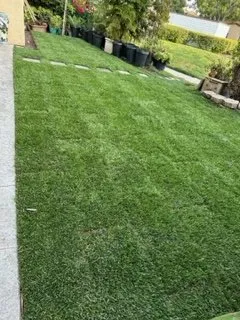 Affordable landscape design in San Juan Capistrano, CA by Ibarra Maintenance