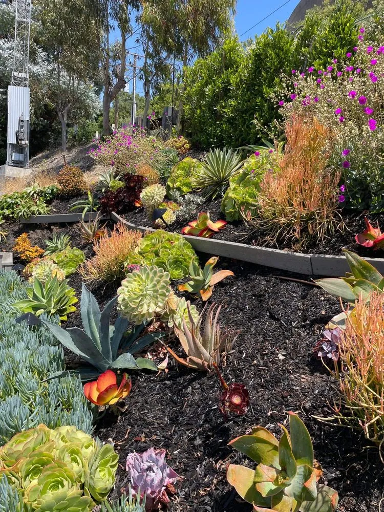 Local yard maintenance with custom design across San Juan Capistrano, CA - Ibarra Maintenance