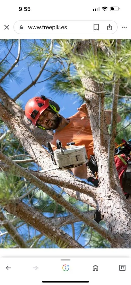 Custom yard maintenance experts serving San Juan Capistrano, CA - Ibarra Maintenance