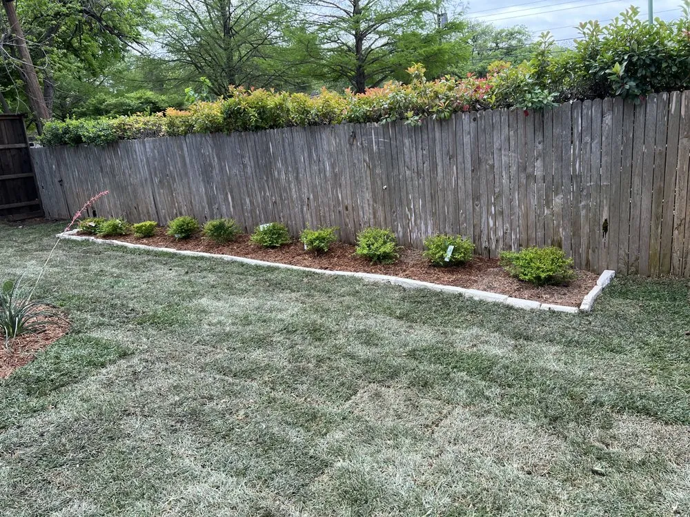 Top-rated lawn care service in Dallas, TX - Ibarra’s Fresh Cuts Landscaping