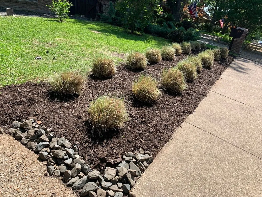 Custom yard cleanup service in Dallas, TX by Ibarra’s Fresh Cuts Landscaping
