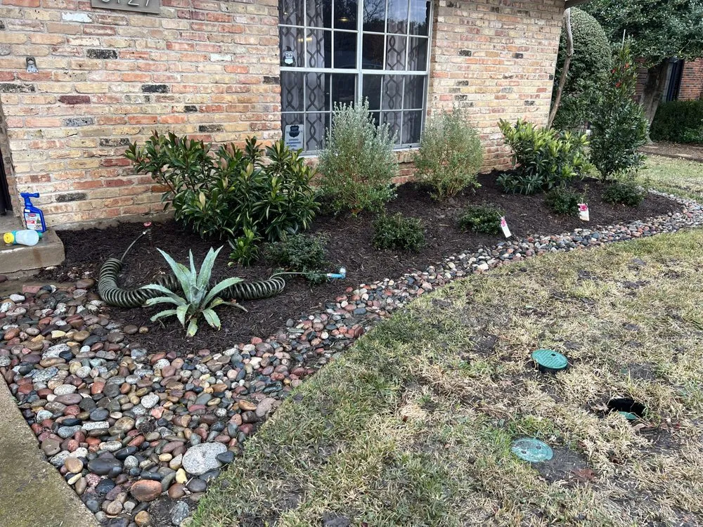 Professional residential landscaping in Dallas, TX by Ibarra’s Fresh Cuts Landscaping
