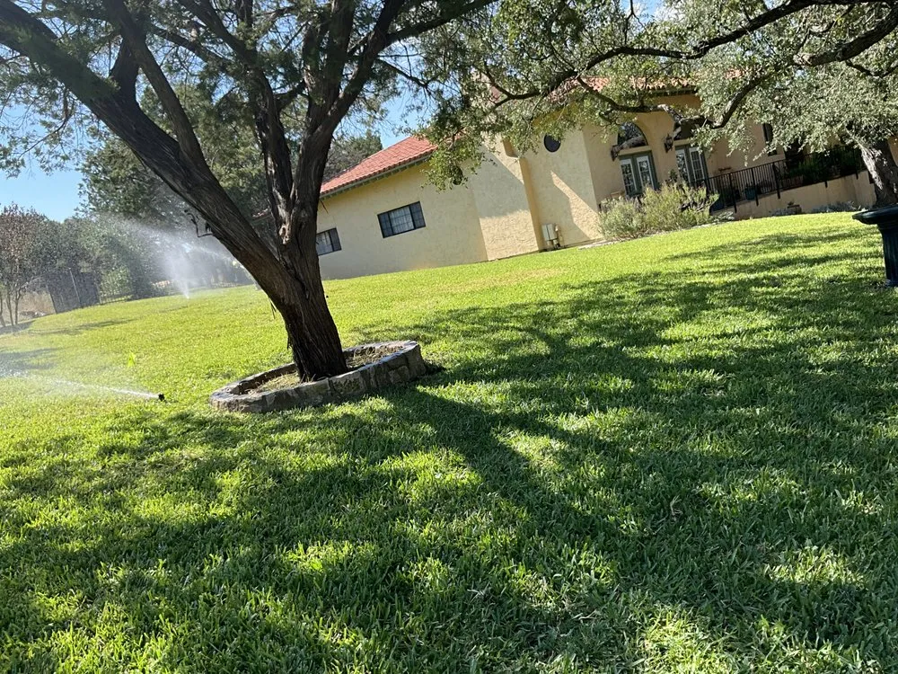 Reliable yard cleanup service for beautiful yards in Kyle, TX by Ibarra's Irrigation & Lawn Services