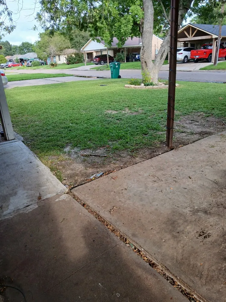 Professional yard cleanup service experts serving Pasadena, TX - Ibarra's Landscape