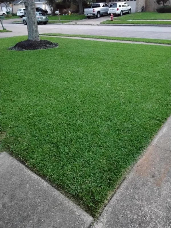 Expert outdoor landscaping for outdoor upgrades in Pasadena, TX by Ibarra's Landscape