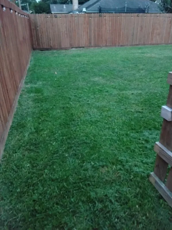 Local landscaping services in Pasadena, TX by Ibarra's Landscape