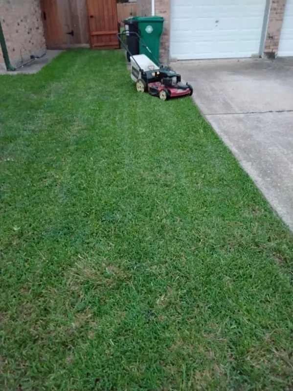 Top-rated landscape design in Pasadena, TX - Ibarra's Landscape