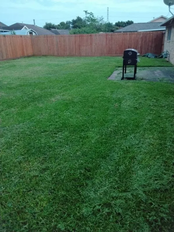 Affordable yard maintenance in Pasadena, TX - Ibarra's Landscape