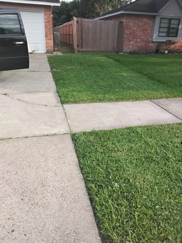 Professional lawn mowing service for year-round maintenance in Pasadena, TX by Ibarra's Landscape