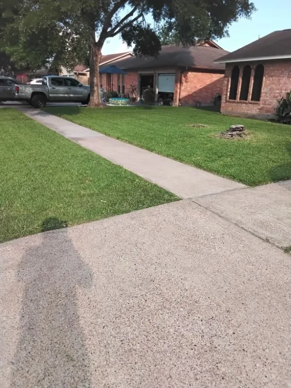 Top-rated landscape installation near you in Pasadena, TX by Ibarra's Landscape