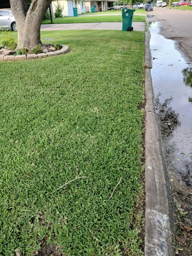 Professional landscape installation for homes across Pasadena, TX - Ibarra's Landscape