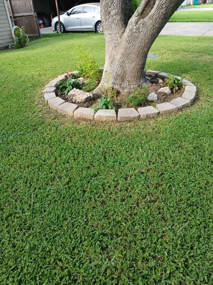 Expert landscape design experts serving Pasadena, TX - Ibarra's Landscape