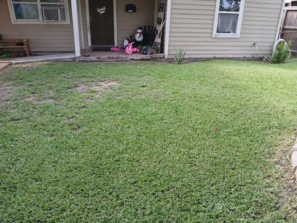 Professional lawn mowing service in Pasadena, TX by Ibarra's Landscape