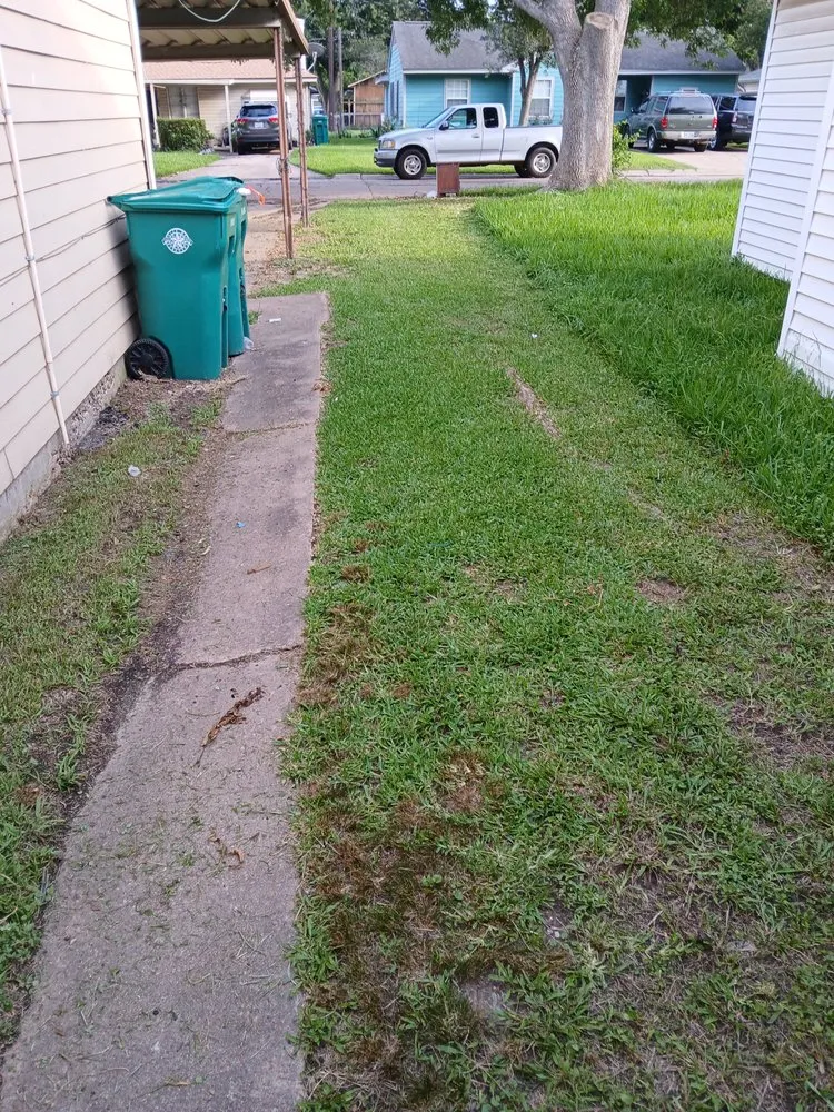 Expert residential landscaping experts serving Pasadena, TX - Ibarra's Landscape