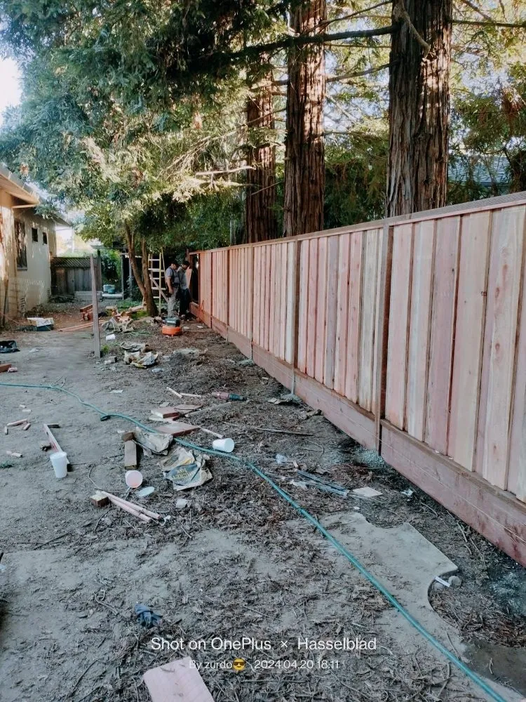 Expert landscaping services in Salinas, CA by Ibarra's Landscape Services