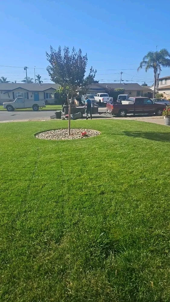 Top-rated landscaping services near you in Salinas, CA by Ibarra's Landscape Services