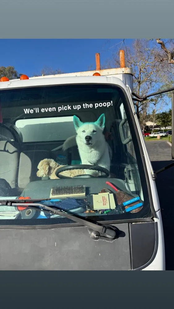 Trusted residential landscaping experts serving San Juan Capistrano, CA - Ibarra's Landscaping