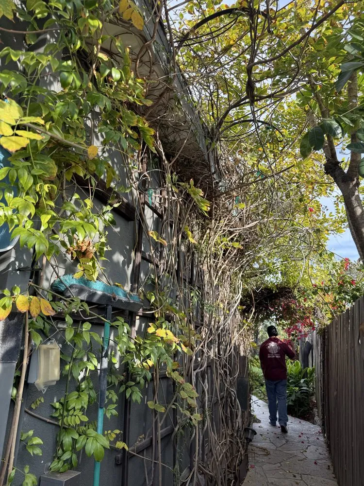 Trusted lawn mowing service for year-round maintenance across San Juan Capistrano, CA - Ibarra's Landscaping