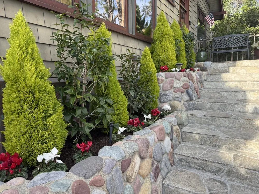 Affordable landscaping services experts serving San Juan Capistrano, CA - Ibarra's Landscaping