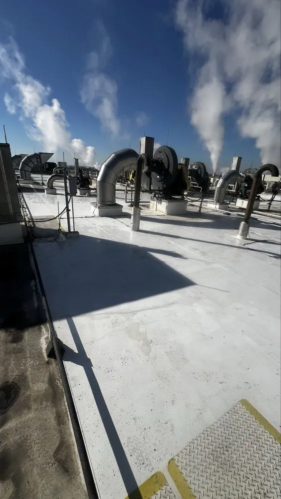 Affordable outdoor landscaping experts serving San Antonio, TX - Ibarra’s Landscaping Services