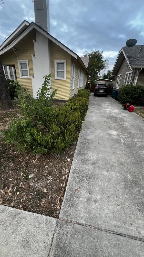 Professional yard cleanup service in San Antonio, TX by Ibarra’s Landscaping Services