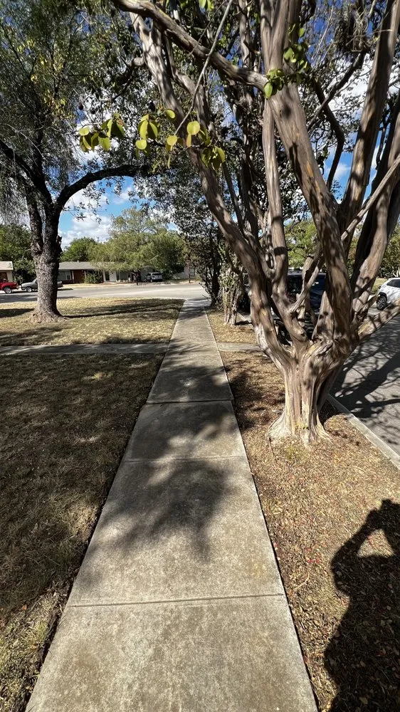 Affordable lawn mowing service experts serving San Antonio, TX - Ibarra’s Landscaping Services