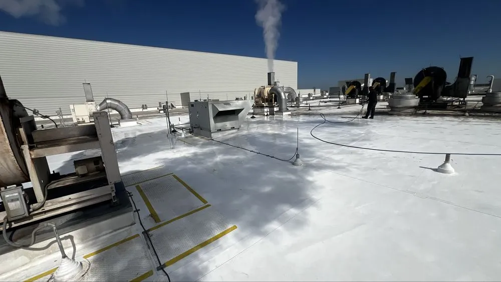 Reliable yard maintenance experts serving San Antonio, TX - Ibarra’s Landscaping Services