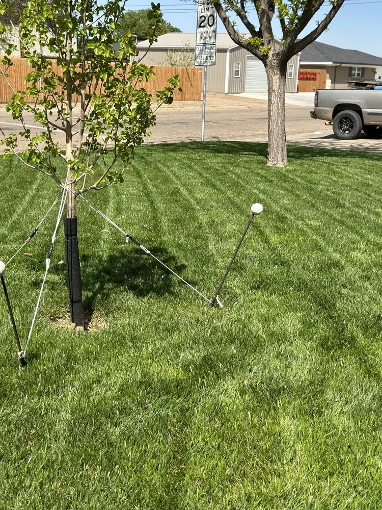 Top-rated yard maintenance in Dumas, TX - Ibarra’s Lawn Care