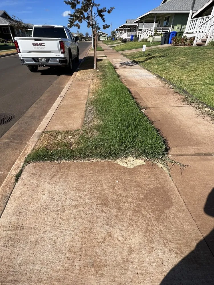 Expert lawn care service in Ewa Beach, HI - Ibay Yard Services