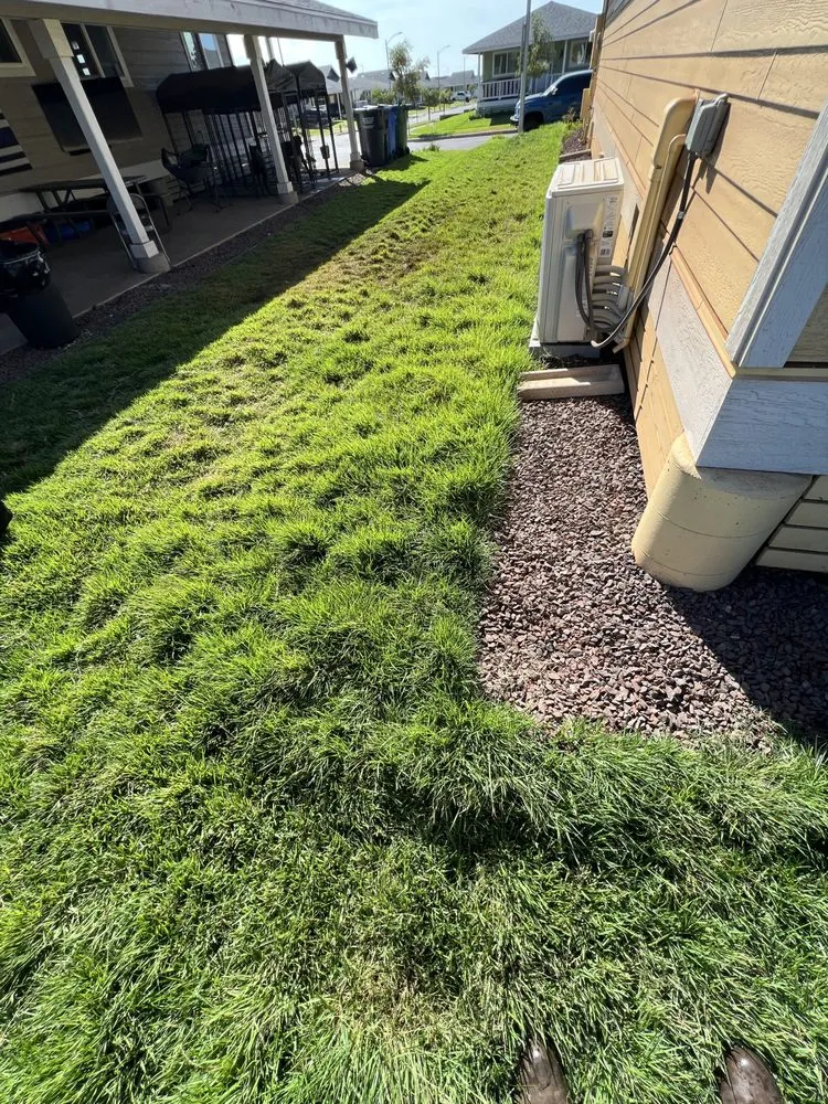 Reliable landscape design experts serving Ewa Beach, HI - Ibay Yard Services