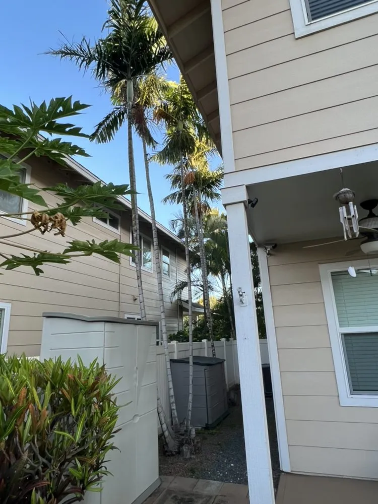 Custom lawn care service with custom design in Ewa Beach, HI by Ibay Yard Services