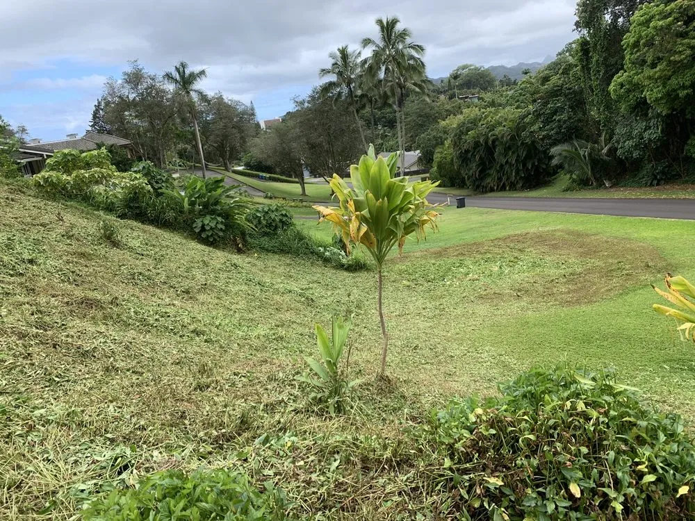 Custom yard maintenance in Ewa Beach, HI - Ibay Yard Services