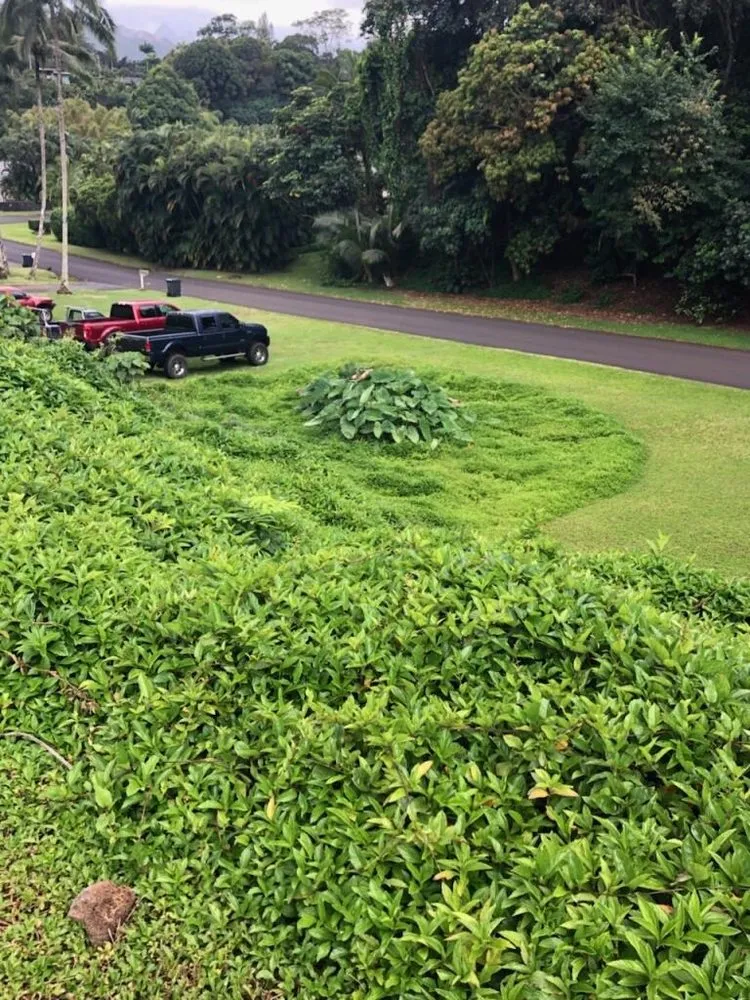 Expert residential landscaping experts serving Ewa Beach, HI - Ibay Yard Services