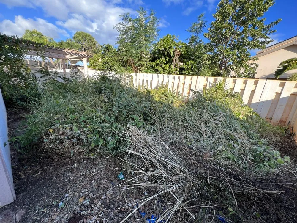 Professional landscaping services for year-round maintenance across Ewa Beach, HI - Ibay Yard Services
