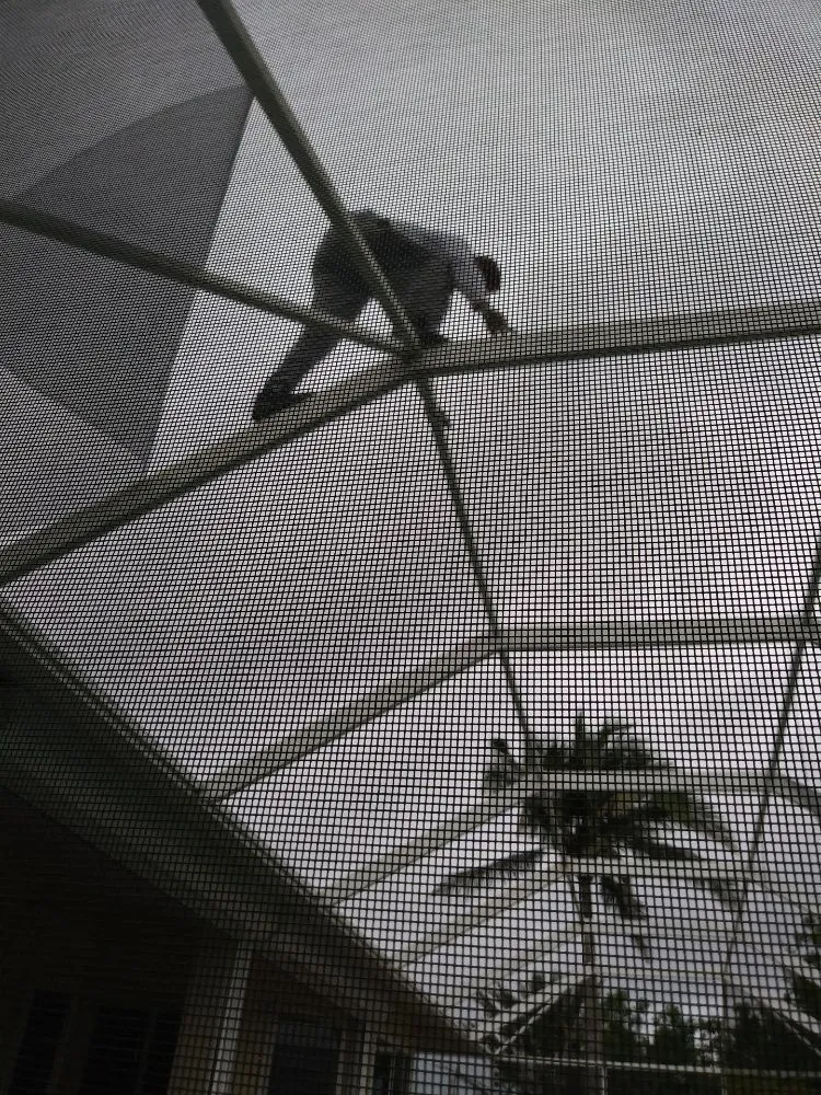 Custom outdoor landscaping in Bonita Springs, FL by Ibis Gonzalez Lawn Service and Repair