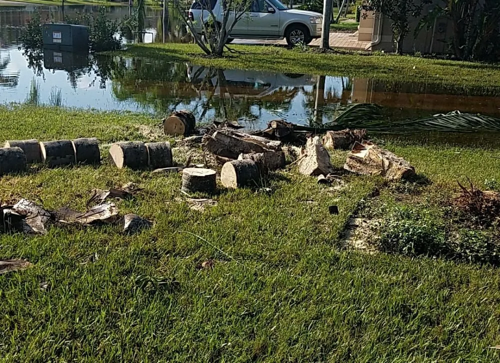 Trusted garden landscaping for residential properties across Bonita Springs, FL - Ibis Gonzalez Lawn Service and Repair