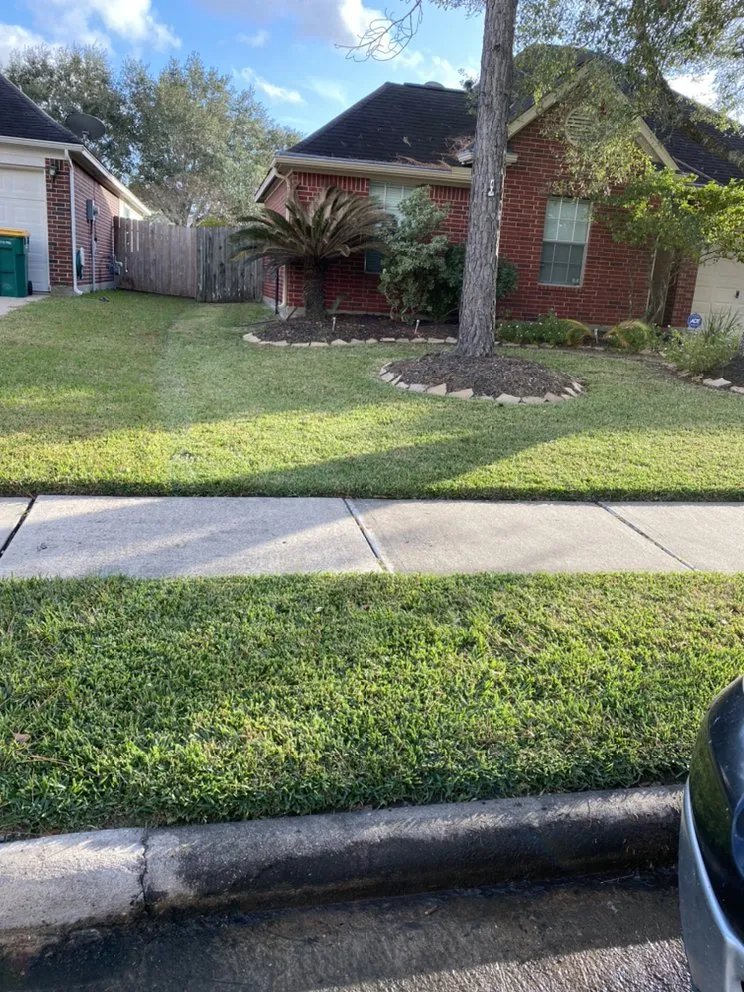 Professional outdoor landscaping for residential properties in Manvel, TX by IBJ Lawn Care