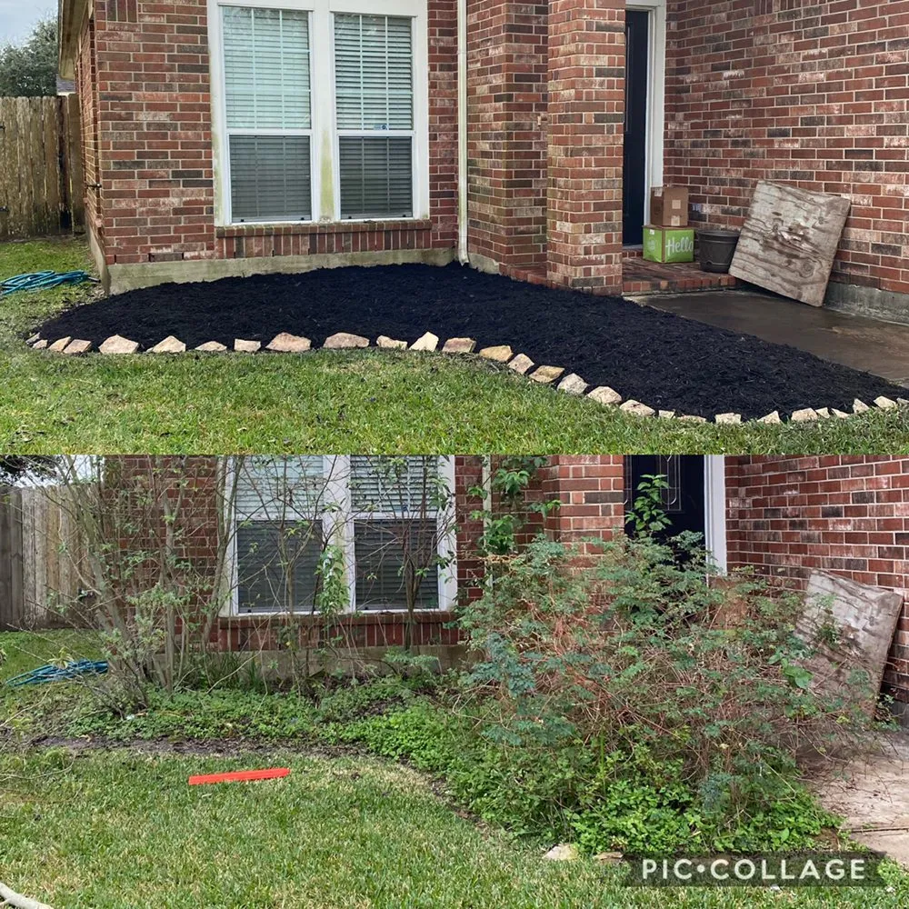 Local landscape design in Manvel, TX - IBJ Lawn Care