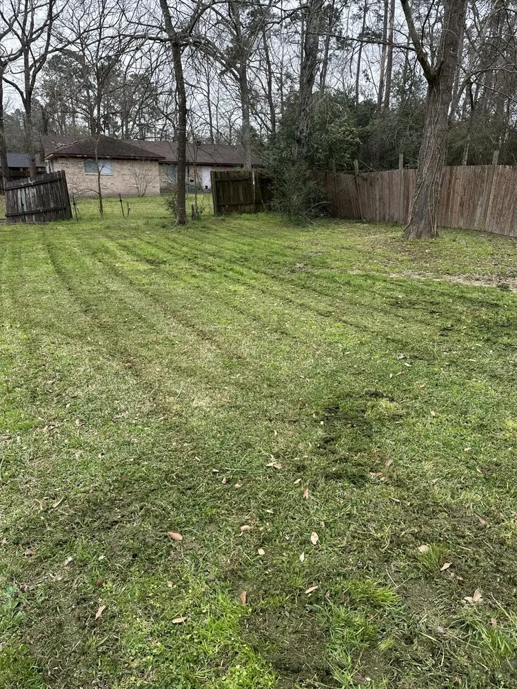 Top-rated landscape installation in Cut and Shoot, TX - IBM lawn services