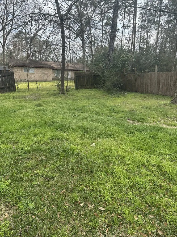 Top-rated outdoor landscaping experts serving Cut and Shoot, TX - IBM lawn services