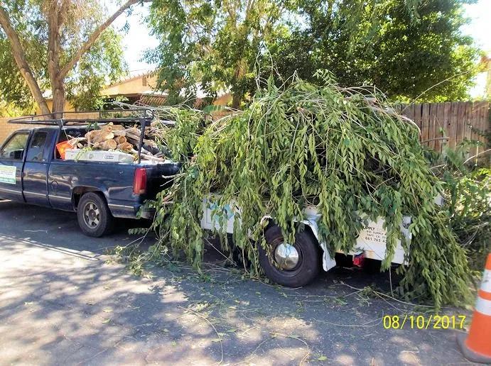 Expert lawn mowing service experts serving Lancaster, CA - Iboa Landscaping