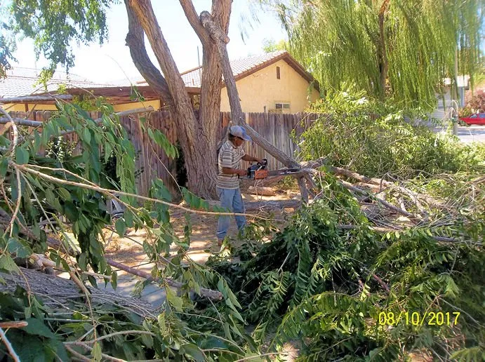 Top-rated lawn mowing service for outdoor upgrades in Lancaster, CA by Iboa Landscaping