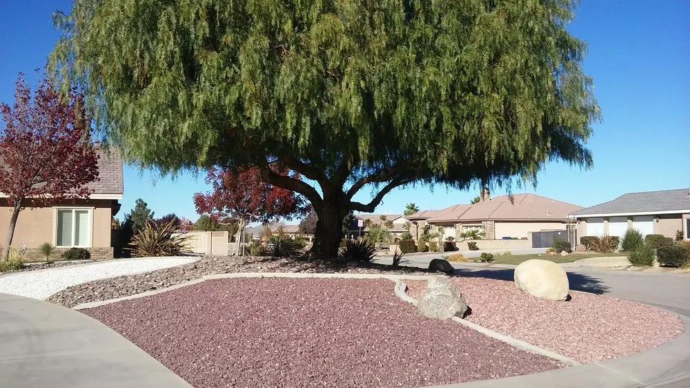 Professional lawn care service for year-round maintenance across Lancaster, CA - Iboa Landscaping