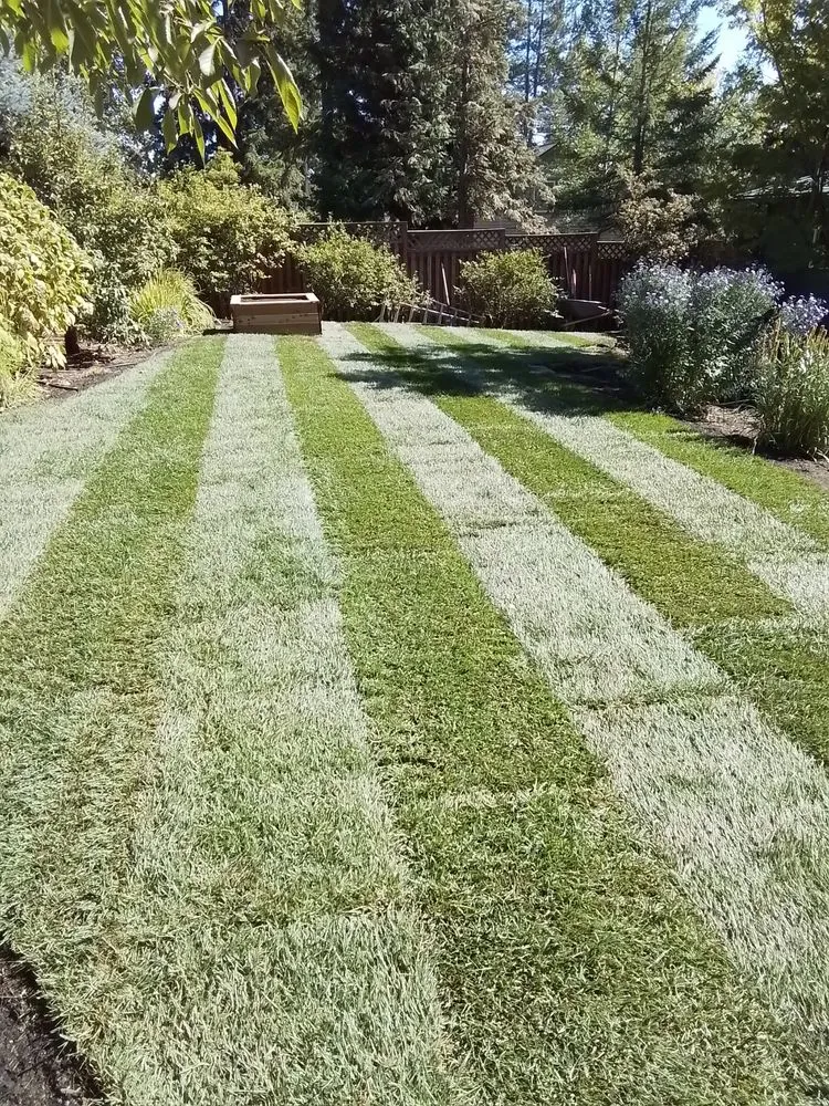 Local garden landscaping in Portland, OR - I.C. Garden Services