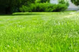 Trusted lawn mowing service for year-round maintenance across Portland, OR - I.C. Garden Services